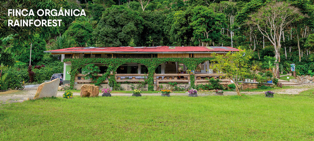 Full Day Parque Nacional del Café - Finca Rainforest