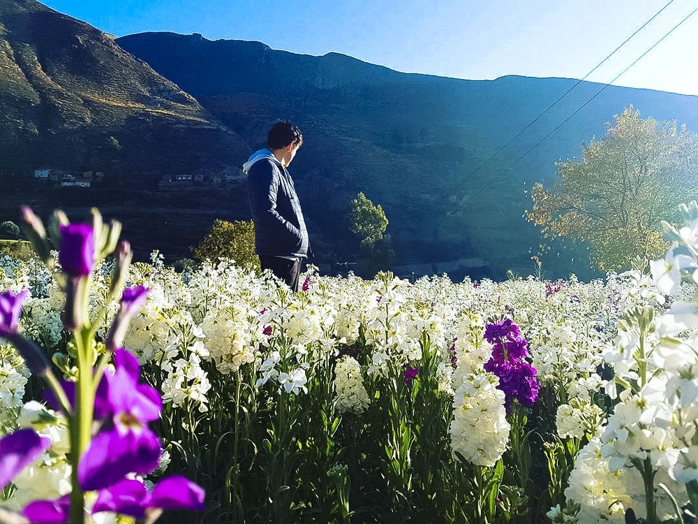 TARMA VALLE DE LAS FLORES 2D/1N